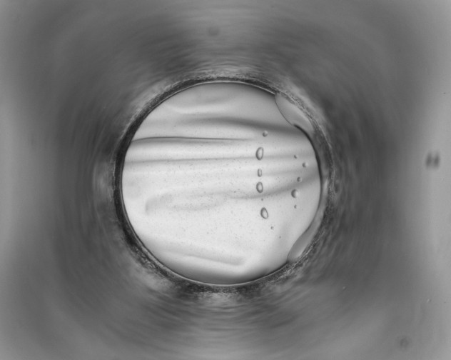 X0000090700107200708101451