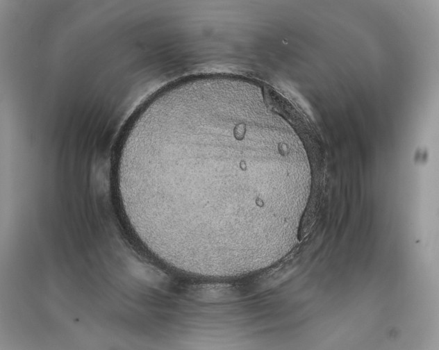 X0000090700108200708101451