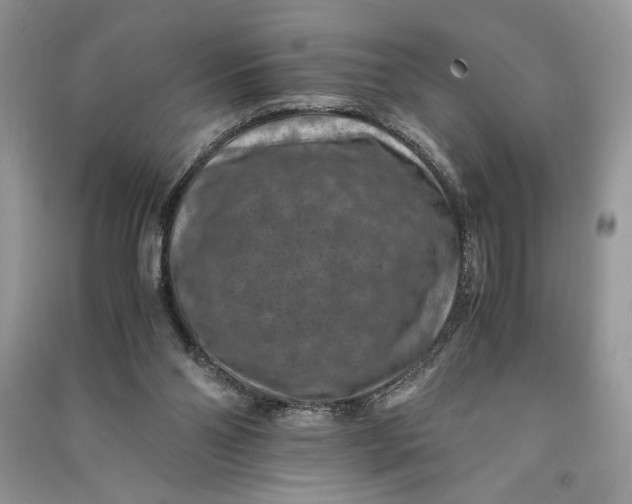 X0000090700110200708101451