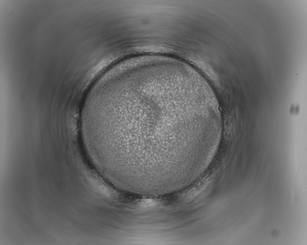 X0000090700111200708101451
