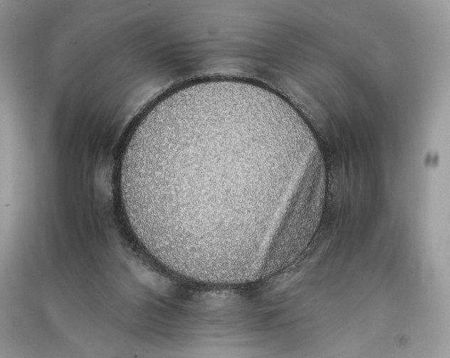 X0000090700112200708101451