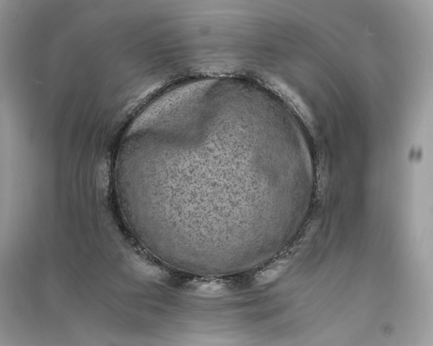 X0000090700113200708101451