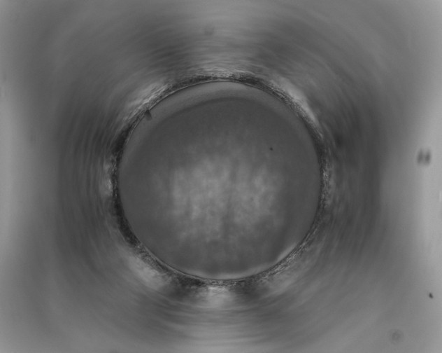 X0000090700114200708101451