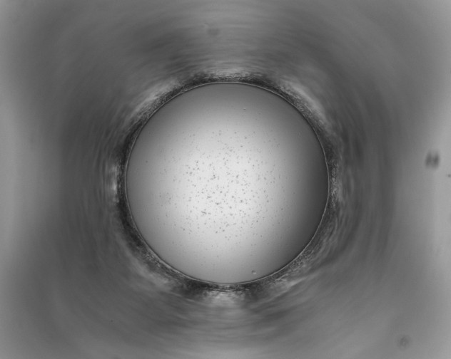 X0000090700115200708101451