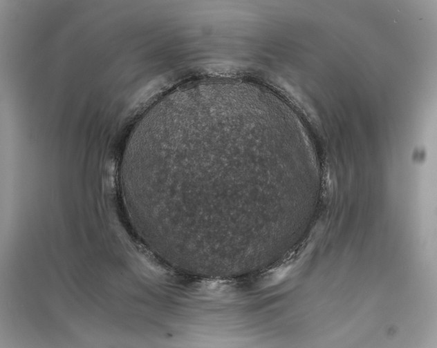 X0000090700117200708101451