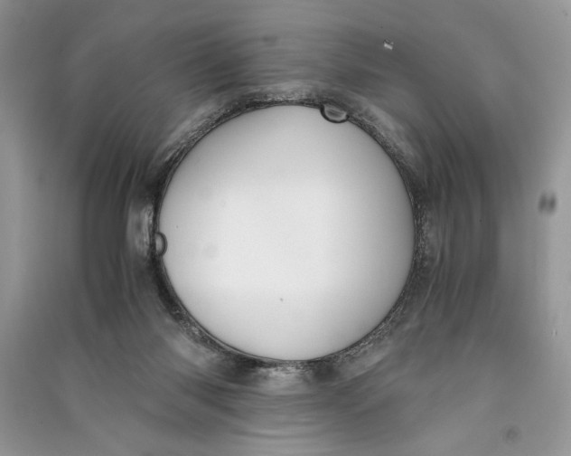 X0000090700118200708101451