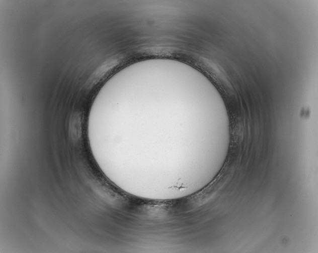 X0000090700120200708101451