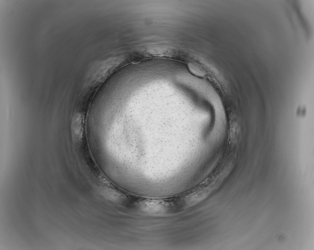 X0000090700121200708101451