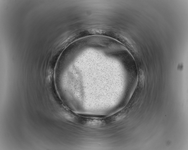 X0000090700125200708101451
