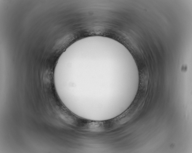 X0000090700126200708101451