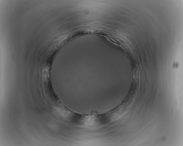 X0000090700127200708101451