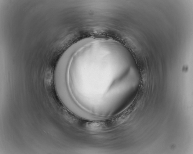 X0000090700129200708101450