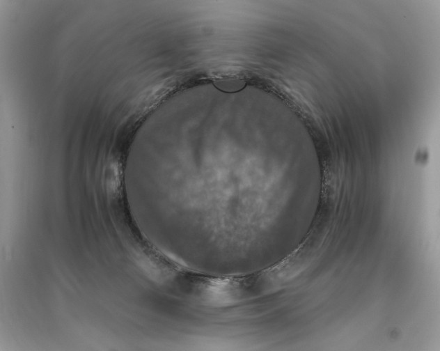 X0000090700130200708101450