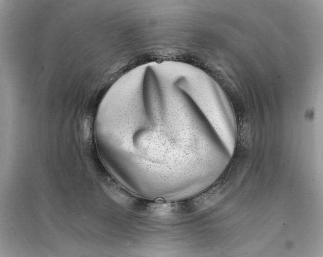 X0000090700131200708101450