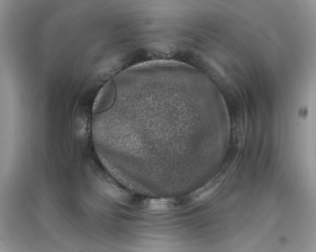X0000090700134200708101450