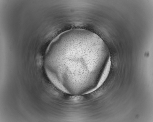 X0000090700135200708101450