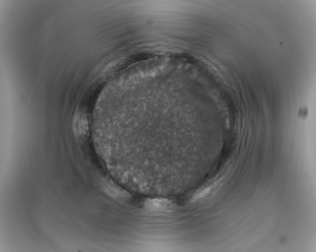 X0000090700137200708101450