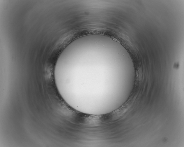 X0000090700138200708101450