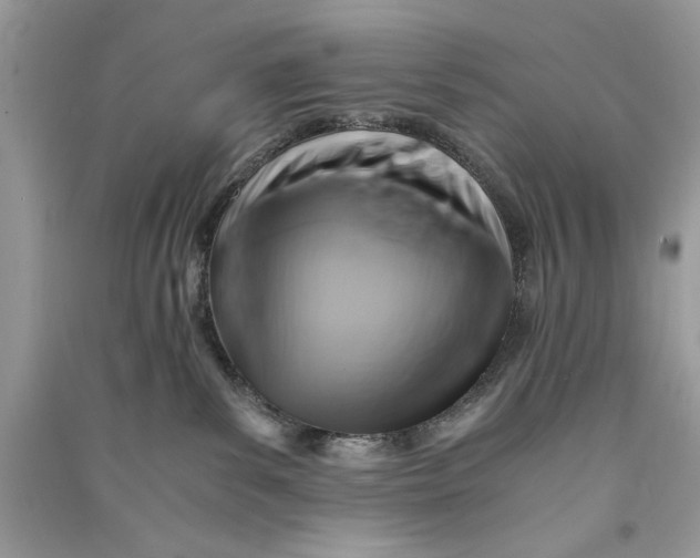 X0000090700139200708101450