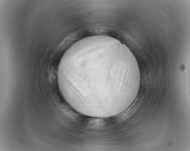 X0000090700140200708101450