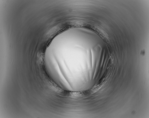 X0000090700141200708101450