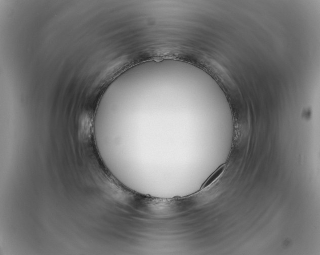 X0000090700142200708101450