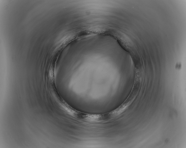 X0000090700143200708101450