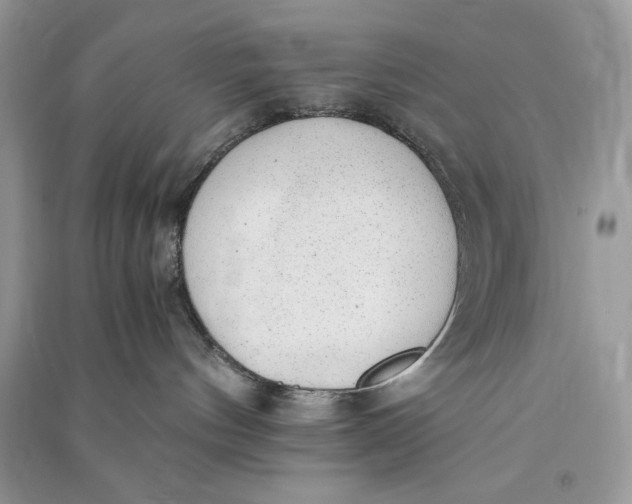 X0000090700144200708101450