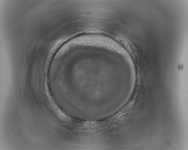 X0000090700145200708101450