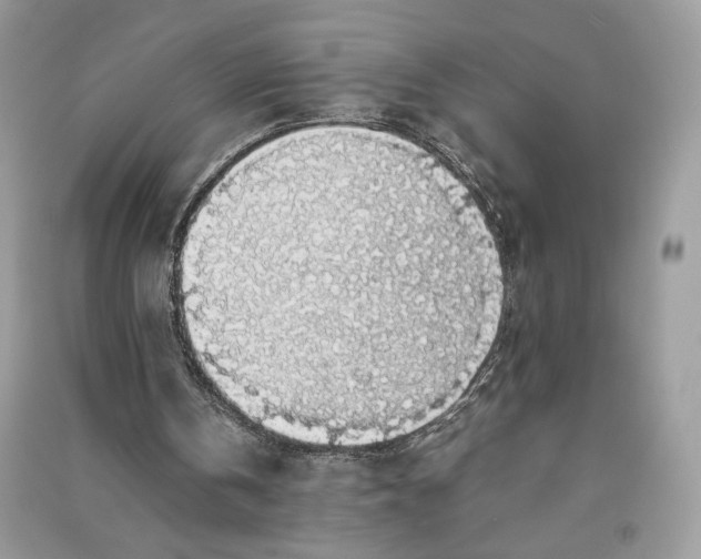 X0000090700146200708101450
