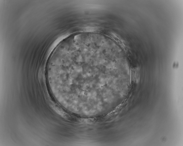 X0000090700147200708101450