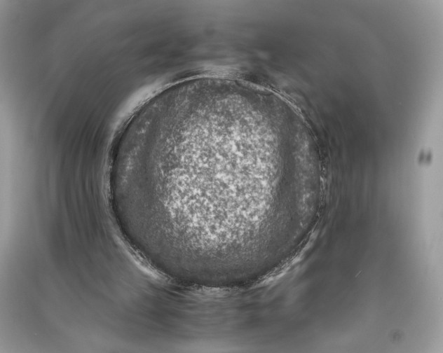 X0000090700149200708101450