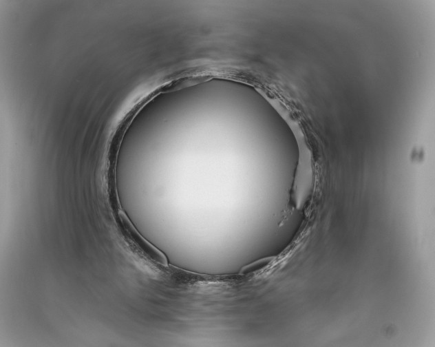 X0000090700150200708101450