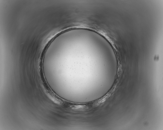 X0000090700151200708101450