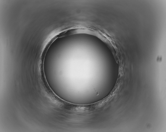 X0000090700152200708101450