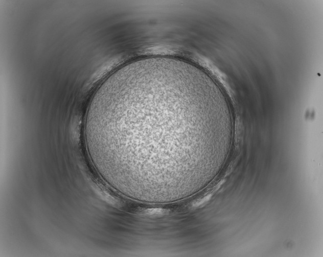 X0000090700153200708101450