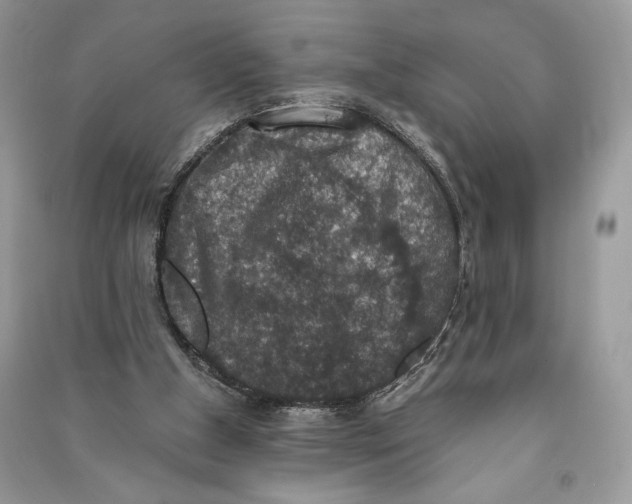 X0000090700154200708101450