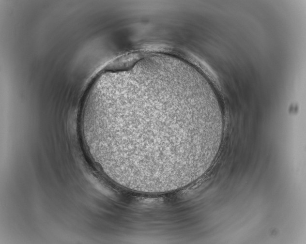 X0000090700155200708101450