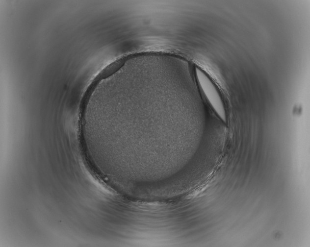 X0000090700156200708101450