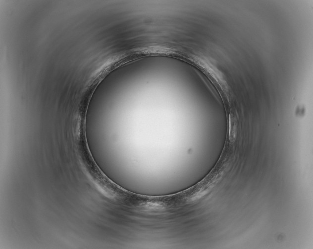 X0000090700157200708101450