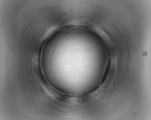 X0000090700158200708101450