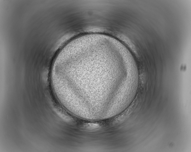 X0000090700159200708101450