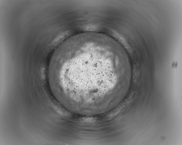 X0000090700161200708101450