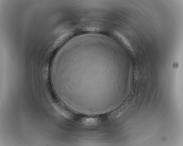 X0000090700163200708101450