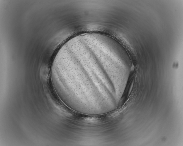 X0000090700164200708101450