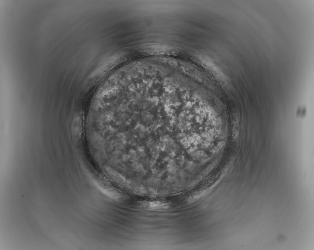 X0000090700165200708101450