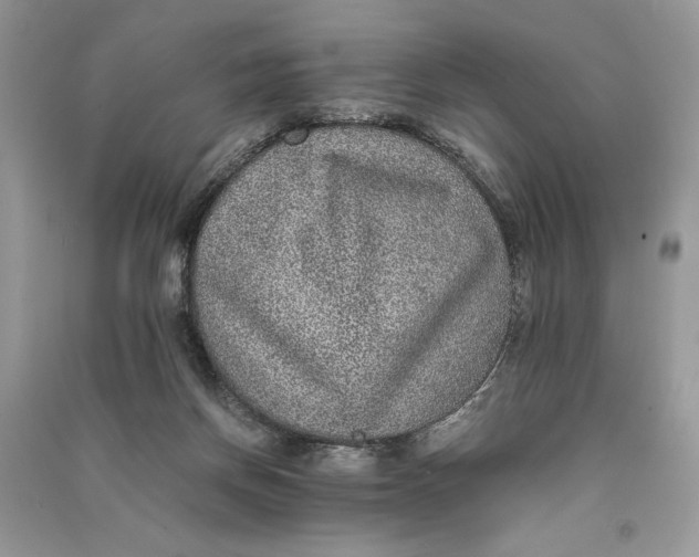 X0000090700166200708101450