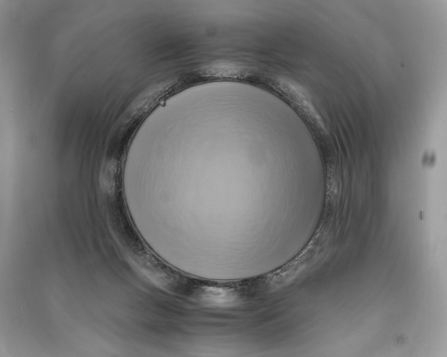 X0000090700167200708101450