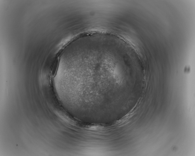 X0000090700168200708101450