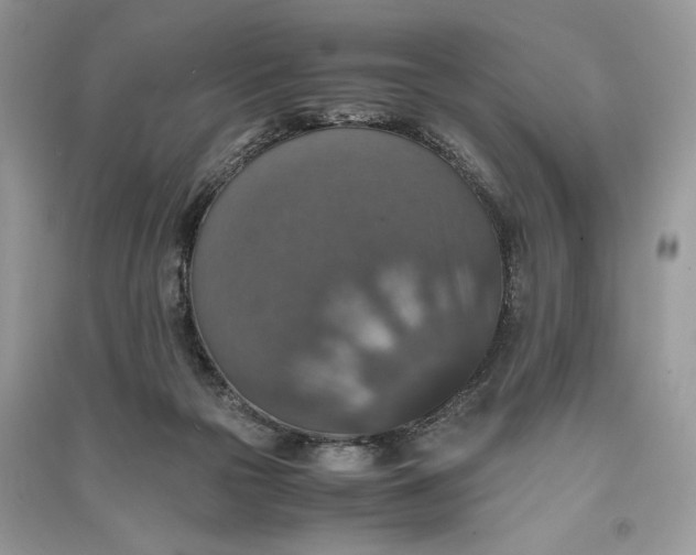 X0000090700169200708101450